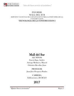 “Año del buen servicio al ciudadano” 
 
“Quien busca encuentra”  
Página 1 
 
 
INFORME  
MALL DEL SUR 
SERVICIO NACIONAL D