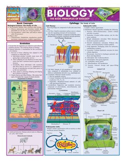 QuickStudy Biology PDF | PDF | Latin Script