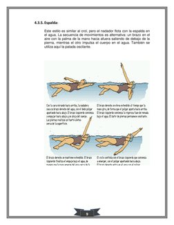 9 
4.3.5. Espalda: 
Este estilo es similar al crol, pero el nadador flota con la espalda en 
el agua. La secuencia de movim
