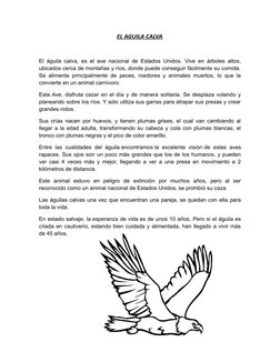 EL AGUILA CALVA
El águila calva, es el ave nacional de Estados Unidos. Vive en árboles altos,
ubicados cerca de montañas y rí