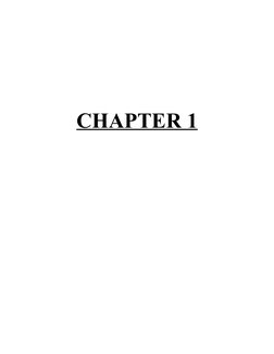 CHAPTER 1