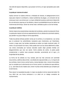 más allá del espacio disponible y que posean la forma y el vigor apropiados para cada 
lugar. 
La poda por razones de sal