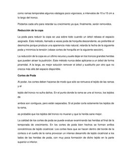 como ramas temporales algunos vástagos poco vigorosos, a intervalos de 10 a 15 cm a 
lo largo del tronco. 
Pódarlos cada