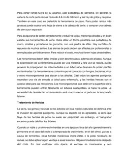 Para cortar ramas fuera de su alcance, usar podaderas de garrocha. En general, la 
cabeza de corte poda ramas hasta de 4.
