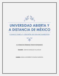 UNIVERSIDAD ABIERTA Y 
A DISTANCIA DE MÉXICO 
CONSULTORÍA Y GESTIÓN DE FINANCIAMIENTO 
 
 
U3. EVIDENCIA DE APRENDIZAJE.