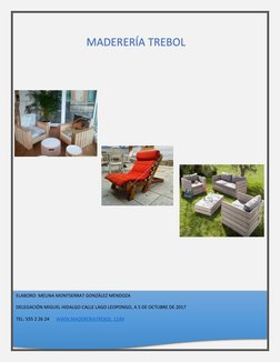 ANTECEDENTES 
MADERERÍA TREBOL 
ELABORO: MELINA MONTSERRAT GONZÁLEZ MEND