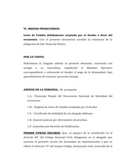VI. MEDIOS PROBATORIOS: 
Letra de Cambio debidamente aceptada por el deudor a favor del 
recurrente. Con el presente docume