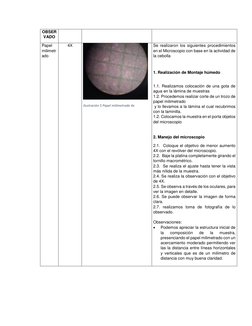 OBSER
VADO 
Papel 
milimetr
ado 
4X 
 
 
Ilustración 5 Papel milimetrado 4x 
 
 
 
 
 
Se realizaron los siguientes procedimi