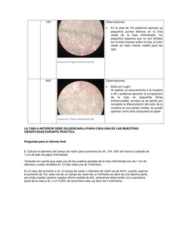 10X 
 
Ilustración 6 Papel milimetrado 10x 
 
 
Observaciones 
 
En la vista de 10x podemos apreciar ya 
pequeños puntos