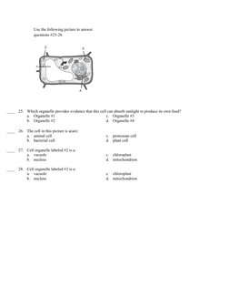 Use the following picture to answer 
questions #25-28.                                        
____
25.
Which organelle provi