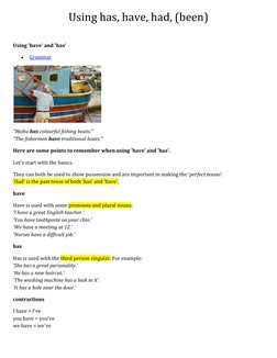 Using has, have, had, (been) 
 
Using 'have' and 'has' 
 
Grammar  (http://www.ecenglish.com/learnenglish/subject/Grammar)