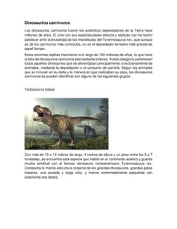 Dinosaurios carnívoros 
Los dinosaurios carnívoros fueron los auténticos depredadores de la Tierra hace 
millones de años. El