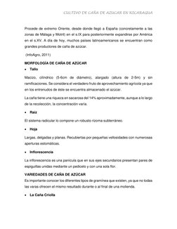 CULTIVO DE CAÑA DE AZUCAR EN NICARAGUA 
 
  
Procede de extremo Oriente, desde donde llegó a España (concretamente a las 
zon