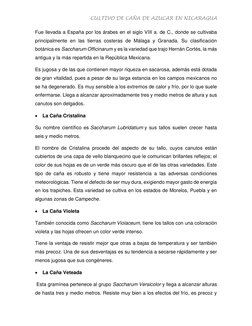 CULTIVO DE CAÑA DE AZUCAR EN NICARAGUA 
 
Fue llevada a España por los árabes en el siglo VIII a. de C., donde se cultivaba