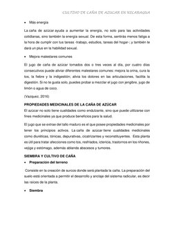 CULTIVO DE CAÑA DE AZUCAR EN NICARAGUA 
 
 Más energía 
La caña de azúcar ayuda a aumentar la energía, no solo para las acti