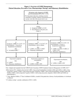 5 
UMHS COPD Guideline, November 2017 
Figure 1. Overview of COPD Management: 
Patient Education, Preventive Care, Pharma