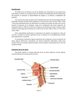 Introducción 
El manejo de la vía aérea es uno de los desafíos más importantes al que puede verse 
enfrentado un médico en su