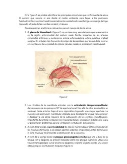 En la Figura 1, es posible identificar las principales estructuras que conforman la vía aérea. 
El camino que recorre el aire