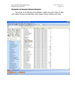 Manual de Toad 9.5: Guía de Uso Básico | PDF | SQL | Bases de datos