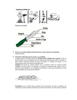 Partes de un Cuchillo 
 
 
 
8. Cocinar una comida utilizando alimentos frescos o secos durante el campamento. 
Requisito