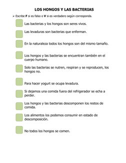LOS HONGOS Y LAS BACTERIAS   
 Escribe F si es falso o V si es verdadero según corresponda.  
 
Las bacterias y los hongos
