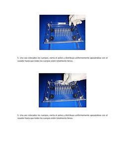 5. Una vez colocados los cuerpos, vierta el polvo y distribuya uniformemente apoyándose con el 
razador hasta que todos l