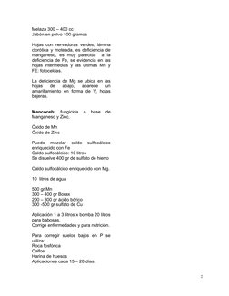 Melaza 300 – 400 cc
Jabón en polvo 100 gramos
Hojas con nervaduras verdes, lámina
clorótica y moteada, es deficiencia de
mang
