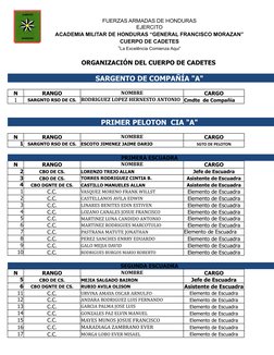 FUERZAS ARMADAS DE HONDURAS
EJERCITO
ACADEMIA MILITAR DE HONDURAS “GENERAL FRANCISCO MORAZAN”
CUERPO DE CADETES
ORGANIZACIÓN