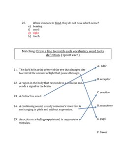20. 
When someone is blind, they do not have which sense? 
e) hearing 
f) smell 
g) sight 
h) touch 
 
 
 
 
 
 
21. The