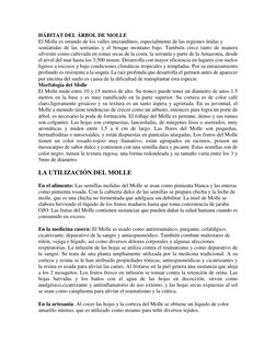 HÁBITAT DEL ÁRBOL DE MOLLE 
El Molle es oriundo de los valles interandinos, especialmente de las regiones áridas y 
semiárida