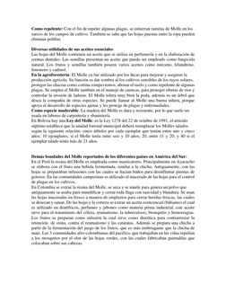Como repelente: Con el fin de repeler algunas plagas, se entierran ramitas de Molle en los 
surcos de los campos de cultivo.