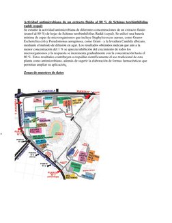 Actividad antimicrobiana de un extracto fluido al 80 % de Schinus terebinthifolius 
raddi (copal) 
Se estudió la actividad an