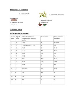 Datos que se tomaron  
 
 
 
 
 
Tabla de datos  
1-Parque de la puerta 2 
N° de 
datos  
Tipo de 
molle 
  
Diámetro del tro