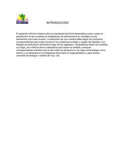 INTRODUCCIÓN
El siguiente informe muestra cómo se representa de forma sistemática y paso a paso la 
pre