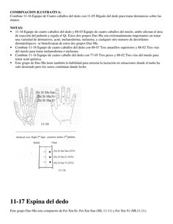COMBINACION ILUSTRATIVA:  
Combine 11-16 Equipo de Cuatro caballos del dedo con 11-05 Hígado del dedo para tratar dermatosis
