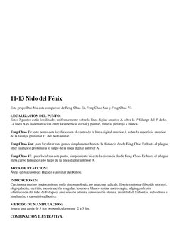 11-13 Nido del Fénix 
 
Este grupo Dao Ma esta compuesto de Feng Chao Er, Feng Chao