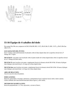 11-16 Equipo de 4 caballos del dedo 
 
Este grupo Dao Ma esta compuesto de Zhi Si Ma ER (ML 11.07), Z