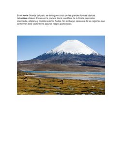 En el Norte Grande del país, se distinguen cinco de las grandes formas básicas 
del relieve chileno. Estas son la planicie li