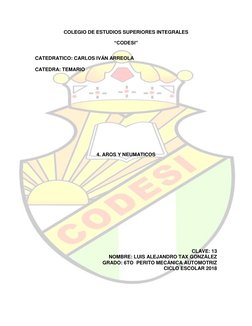 COLEGIO DE ESTUDIOS SUPERIORES INTEGRALES 
“CODESI” 
 
CATEDRATICO: CARLOS IVÁN ARREOLA 
 
CATEDRA: TEMARIO