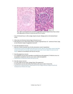 Chapter 2 Pathoma Notes.pdf Pathoma Lecture Notes | PDF