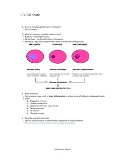 Chapter 2 Pathoma Notes.pdf Pathoma Lecture Notes | PDF