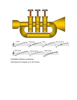  
 
Cualidades tímbricas y expresivas 
Otros tipos de Trompeta, en C, Eb, Piccolo 
