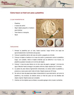 Cómo hacer un fósil con yeso y plastilina 
 
Lo que necesitamos es: 
- 
Plastilina 
- 
2 vasos de cartón 
- 
Algún obje