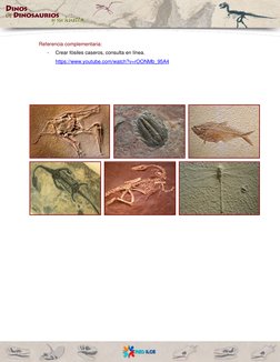 Referencia complementaria: 
- 
Crear fósiles caseros, consulta en línea. 
https://www.youtube.com/watch?v=rOONMb_95A4