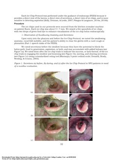 The Ice Chip Protocol A Description of The Protocol and Case Reports ...