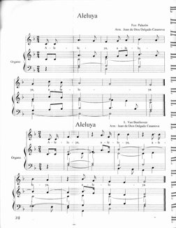 :L
r
Aleluya
Fco. Palazón
Arn : Jua¡ de Dios l)elgado Casanova
Organo
Aleluya
(|j
,,r*"" 
ll
fü
y.r 
a 
le 
l.r
ya.
rJ
l
-
!-