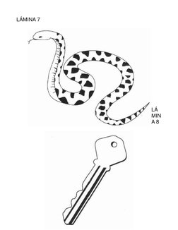 LÁMINA 7 
 
 
 
 
 
 
 
 
 
 
 
 
 
 
LÁ
MIN
A 8 
 
 
 
 
 
 
 
 
 
 
 
 
 
 
