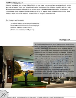 COMPANY Background 
Adamas’ roots go as back as June 2014, which is the yea