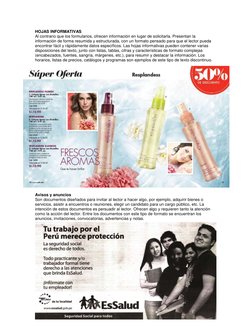 HOJAS INFORMATIVAS 
Al contrario que los formularios, ofrecen información en lugar de solicitarla. Presentan la 
información