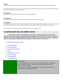 Plastos.
Producen y almacenan importantes elementos para el proceso de la fotosíntesis, la síntesis de lípidos y de aminoácid